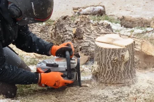 Enlever une souche d’arbre sans rogneuse