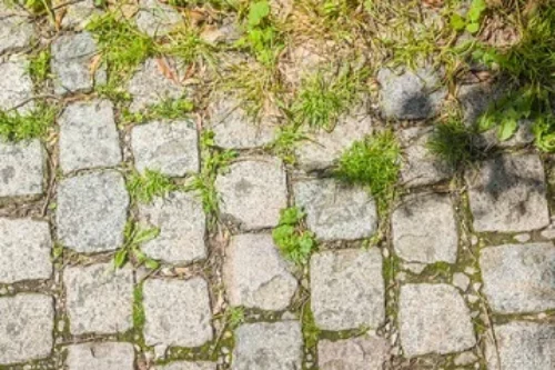 Se débarrasser des mauvaises herbes dans l’allée : définitif